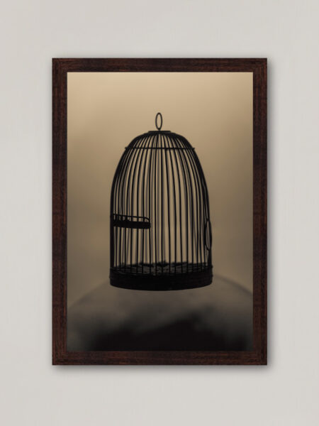 Bird Cage Frame