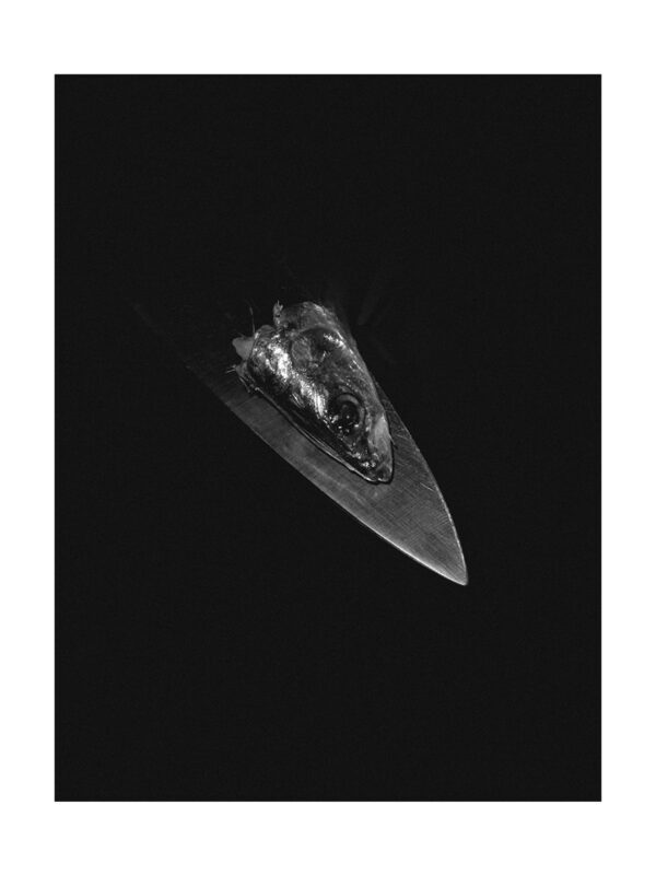 Fish on Knife Photography Print
