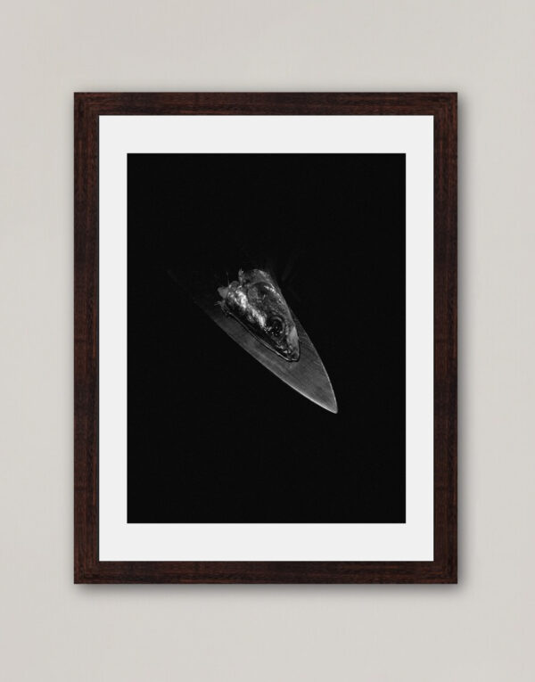 Fish on Knife Limited edition Photography Print