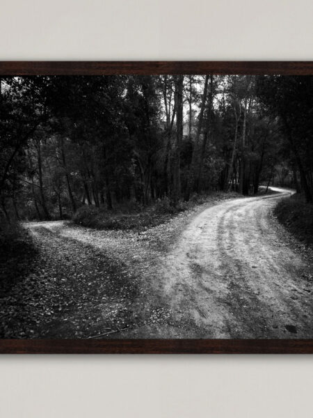 Two Ways Forest Path Limited edition Print