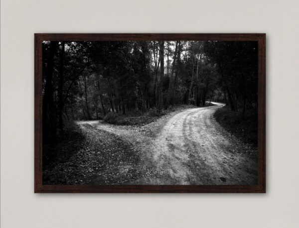 Two Ways Forest Path Limited edition Print